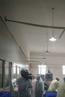 祝賀宜昌華爾食品公司榮獲市食品示范企業(yè)稱號(hào)，引領(lǐng)餅干行業(yè)新發(fā)展